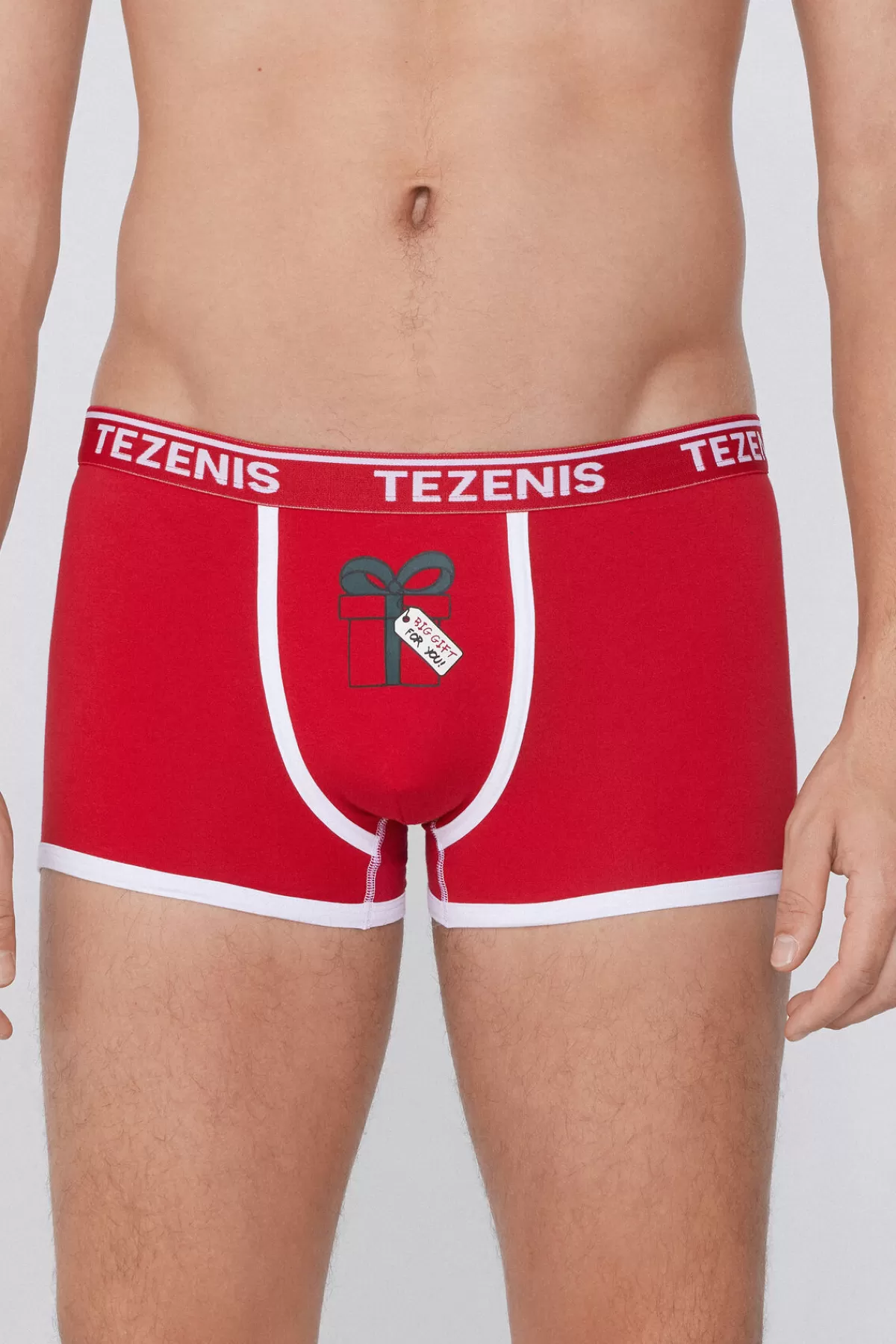 Mutande Comfort Uomo in Puro Cotone - Dettaglio Logo Festivo, Regalo Perfetto per il Natale by Tezenis