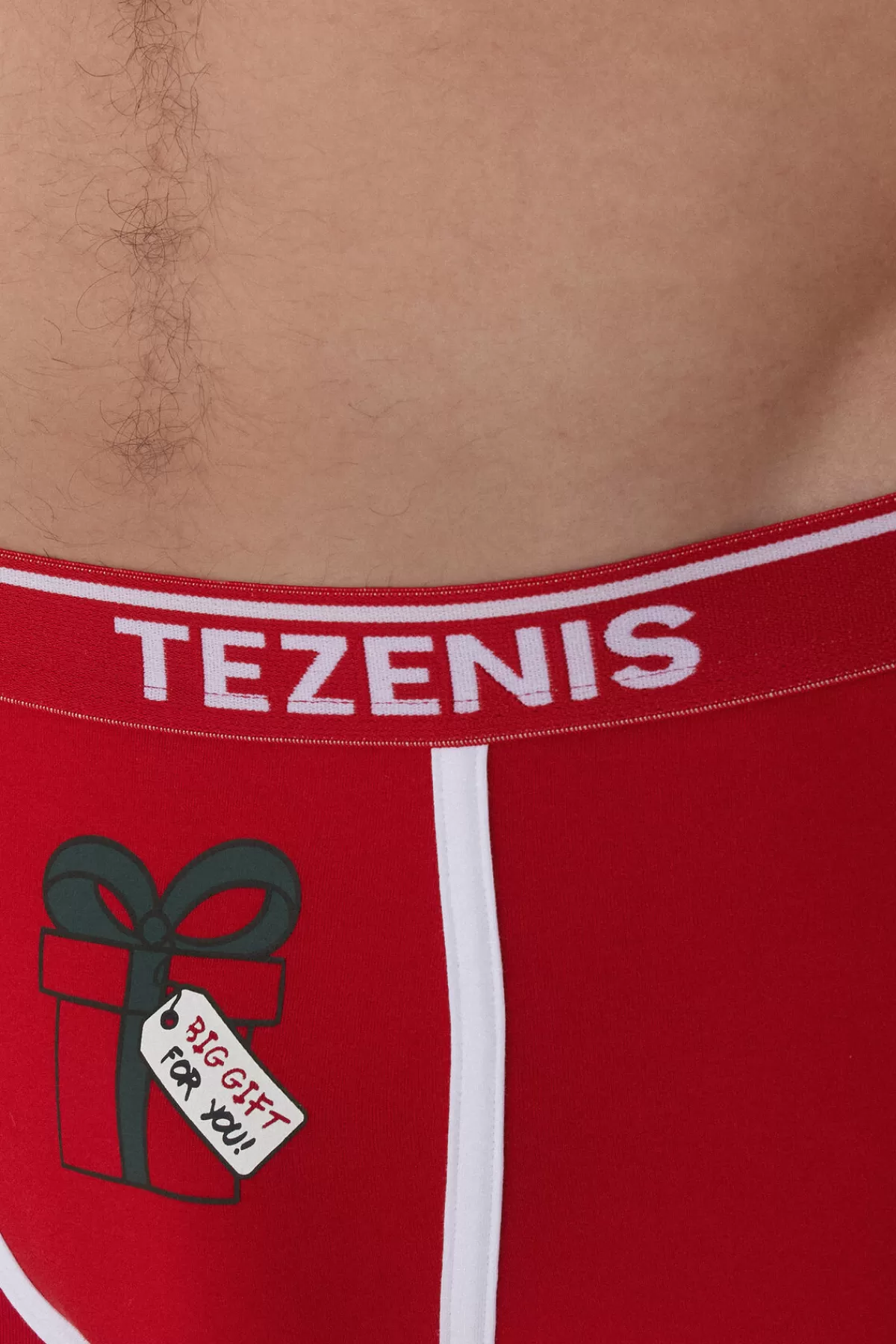 Mutande Comfort Uomo in Puro Cotone - Dettaglio Logo Festivo, Regalo Perfetto per il Natale by Tezenis