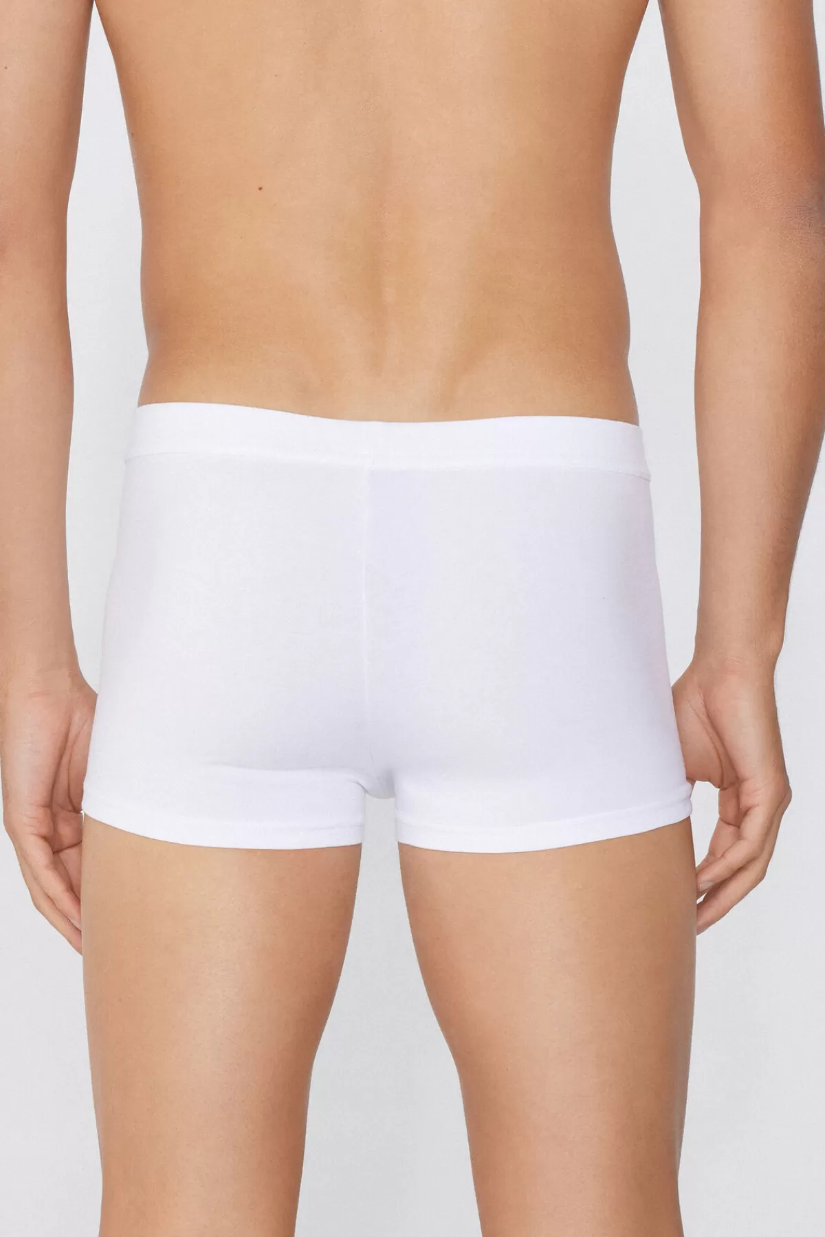 Tezenis Boxer Uomo Morbidi in Cotone Elasticizzato - Intimo Confortevole per Tutto il Giorno