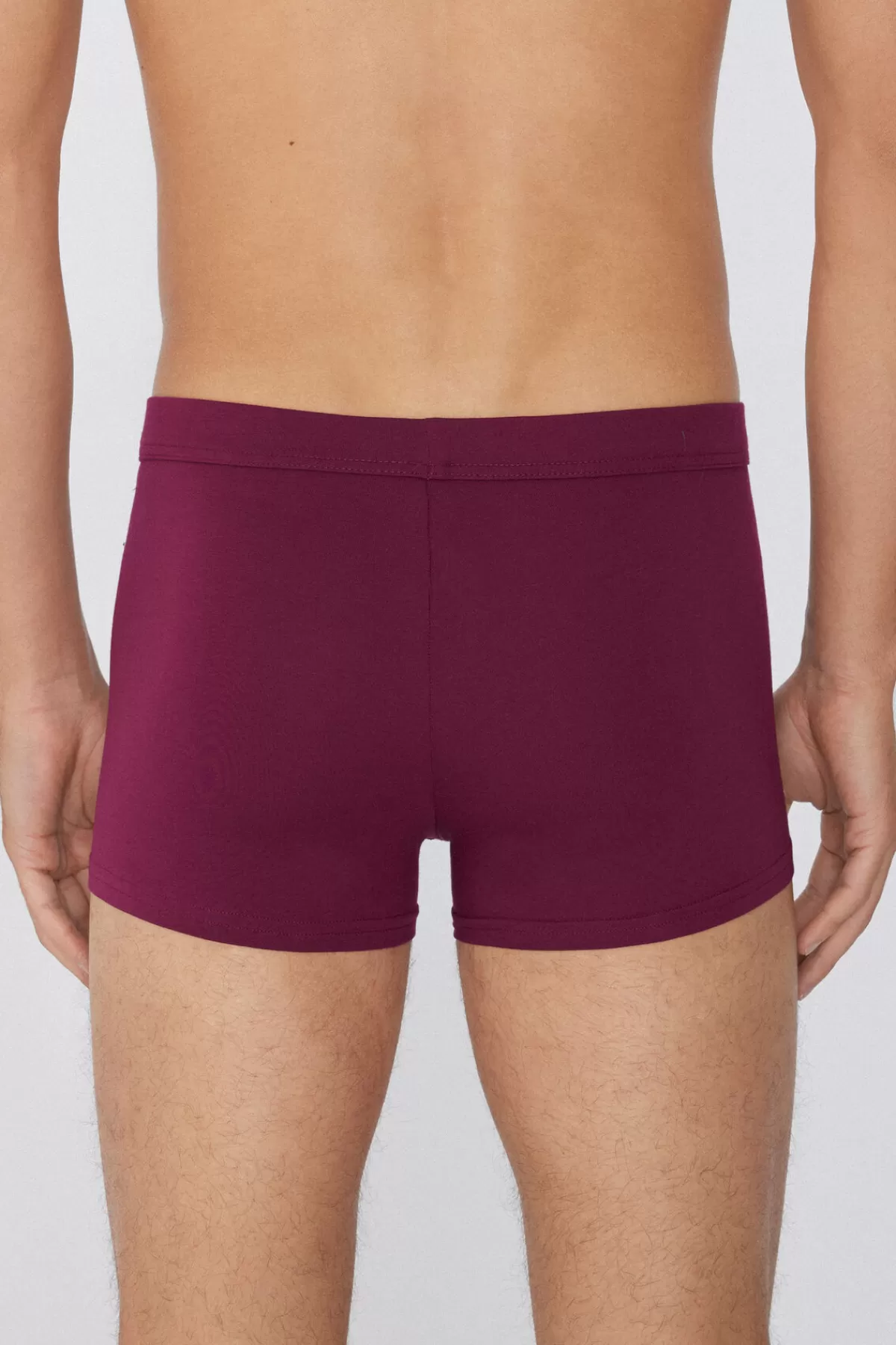 Tezenis Slip Elasticizzati Uomo in Cotone Morbido - Intimo Comfort per Tutto il Giorno